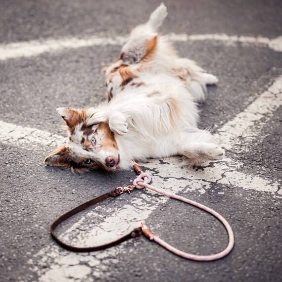 Verstellbare Leine PASTELL ROSA aus Kletterseil und Leder