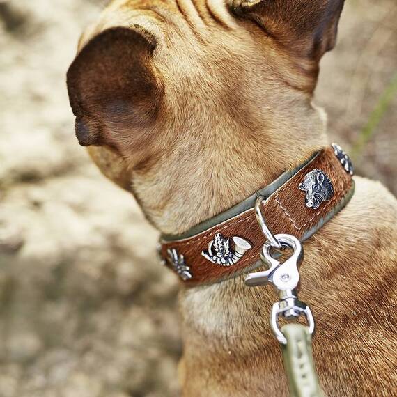 Gepolstertes Halsband mit Kuhfell und Leine BAVARIA • Set