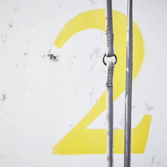 Leder Hundeleine rundgenäht AMICI Anthrazit • 2m • dreifach verstellbar