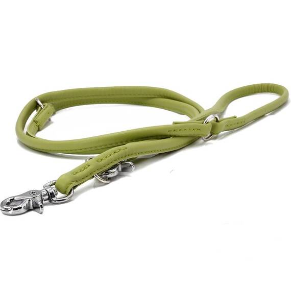 Leder Hundeleine rundgenäht AMICI Lemon • 2m • dreifach verstellbar