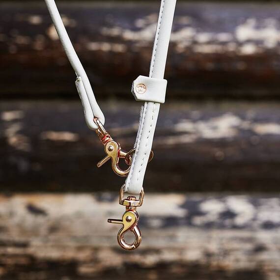 Leder Hundeleine rundgenäht AMICI Hellgrau • 2m • dreifach verstellbar