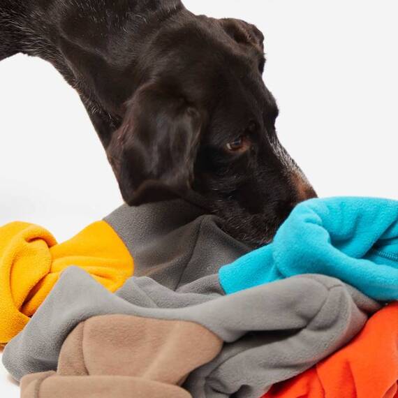 Intelligenzspielzeug für den Hund SNIFFMASTER • Knauder's Best