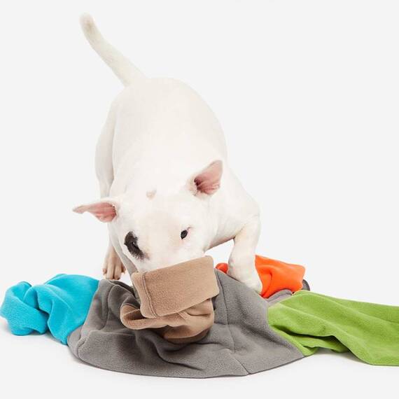 Intelligenzspielzeug für den Hund SNIFFMASTER • Knauder's Best