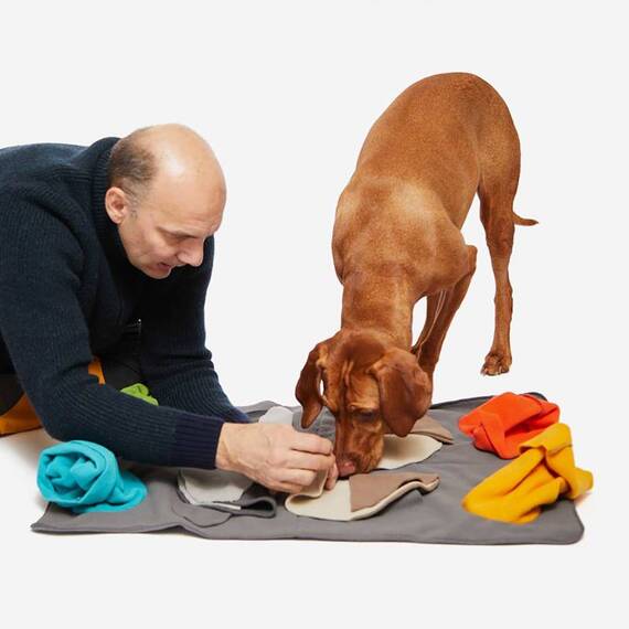 Schnüffelteppich für den Hund SNIFFPAD ELEMENTS • Knauder's Best