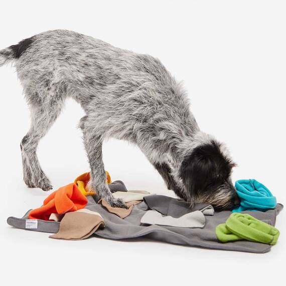 Schnüffelteppich für den Hund SNIFFPAD ELEMENTS • Knauder's Best