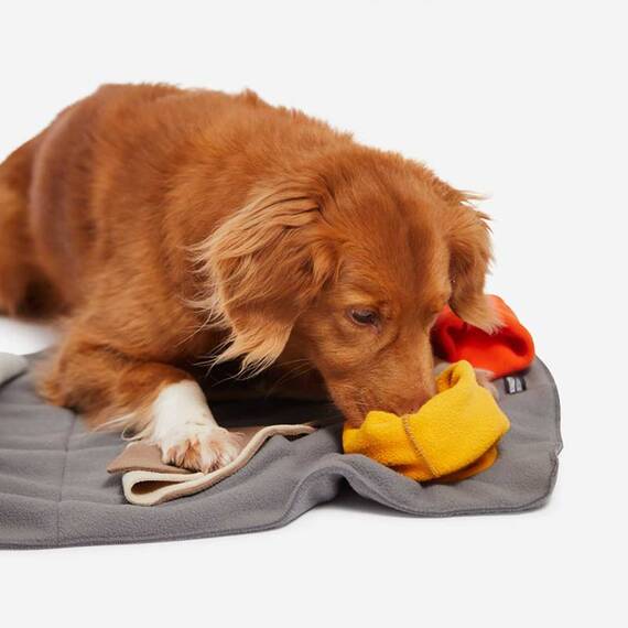 Schnüffelteppich für den Hund SNIFFPAD ELEMENTS • Knauder's Best