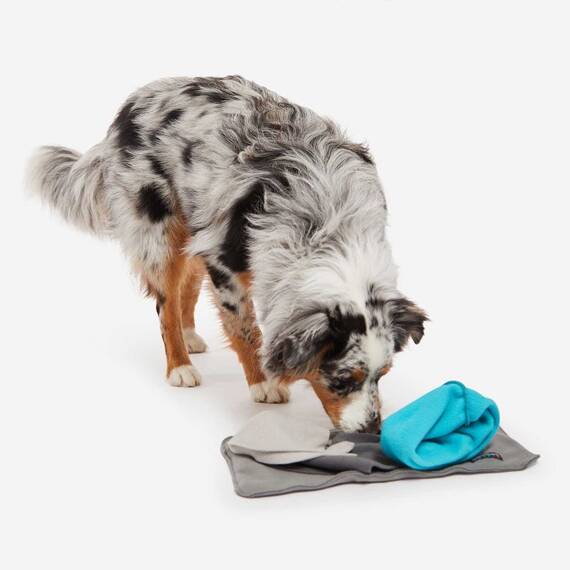 Mini Schnüffelteppich für den Hund SNIFFPAD ELEMENTS SINGLE türkis • Knauder's Best