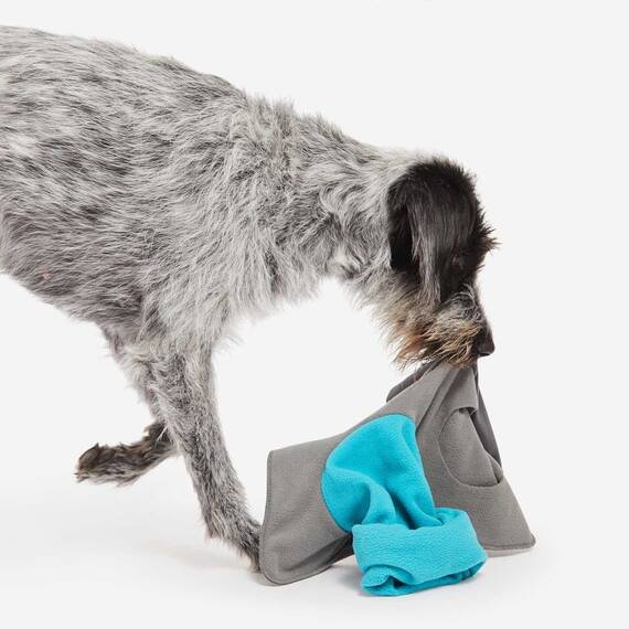 Mini Schnüffelteppich für den Hund SNIFFPAD ELEMENTS SINGLE türkis • Knauder's Best