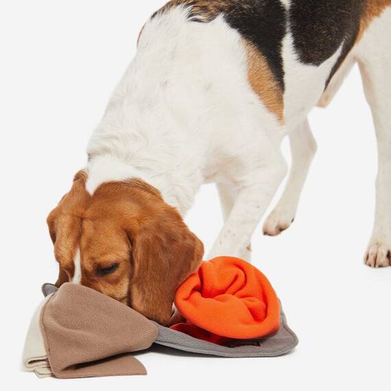 Mini Schnüffelteppich für den Hund SNIFFPAD ELEMENTS SINGLE orange • Knauder's Best