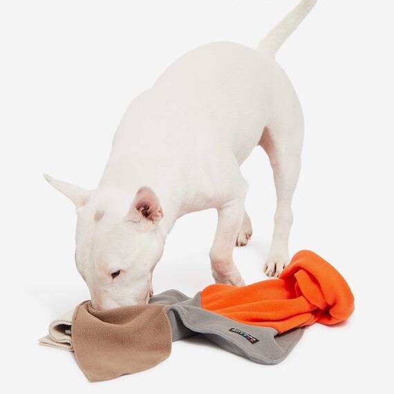 Mini Schnüffelteppich für den Hund SNIFFPAD ELEMENTS SINGLE orange • Knauder's Best