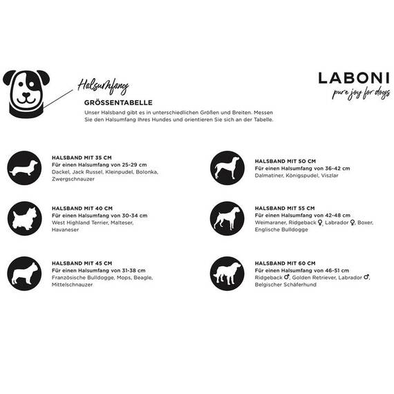 Gepolstertes Halsband mit Kuhfell und Leine BAVARIA • Set