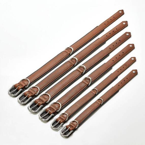 Hundehalsband aus Leder AMICI Cognac • gepolstert
