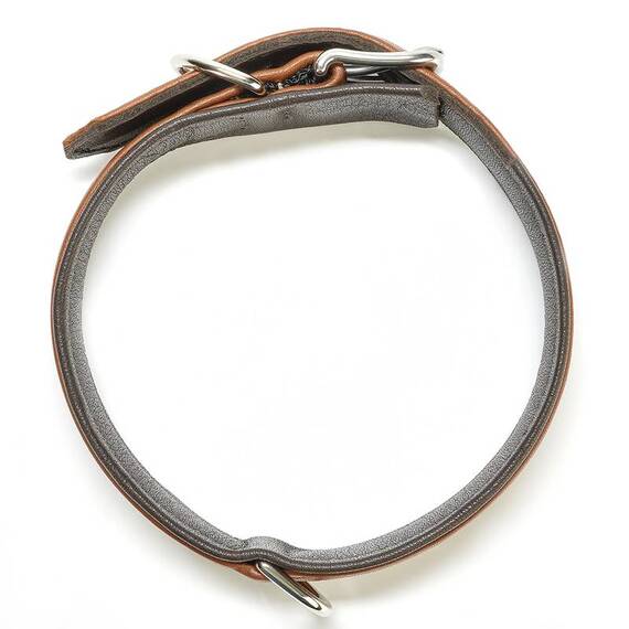 Hundehalsband aus Leder AMICI Cognac • gepolstert