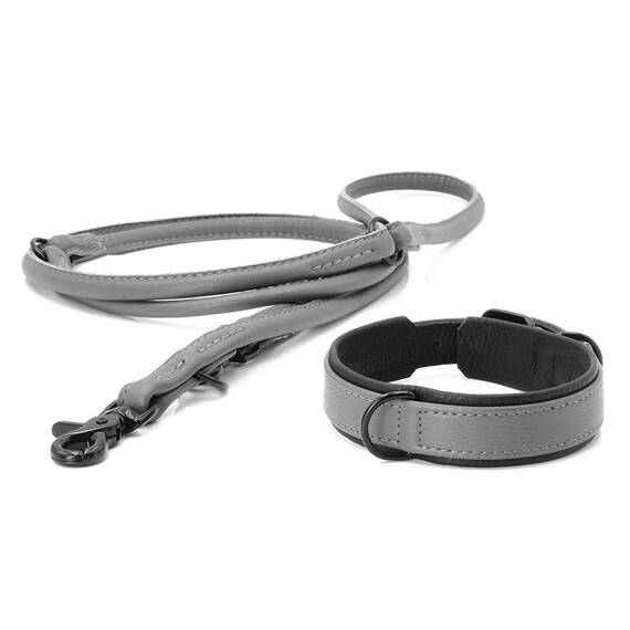 Hundehalsband aus Leder AMICI Anthrazit • gepolstert
