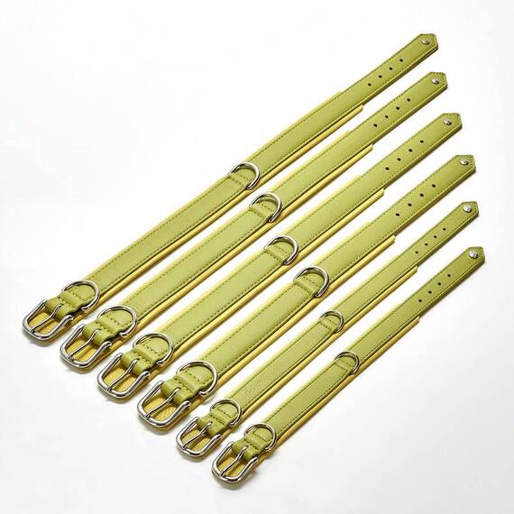 Hundehalsband aus Leder AMICI Lemon • gepolstert • grün | gelb