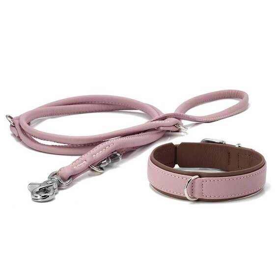 Leder Hundeleine rundgenäht AMICI Rose • 2m • dreifach verstellbar