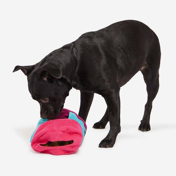 Mini Schnüffelspielzeug für den Hund SNIFFROLL bunt • Knauder's Best