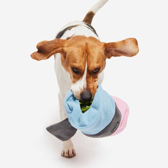 Mini Schnüffelspielzeug für den Hund SNIFFROLL pink | hellblau • Knauder's Best