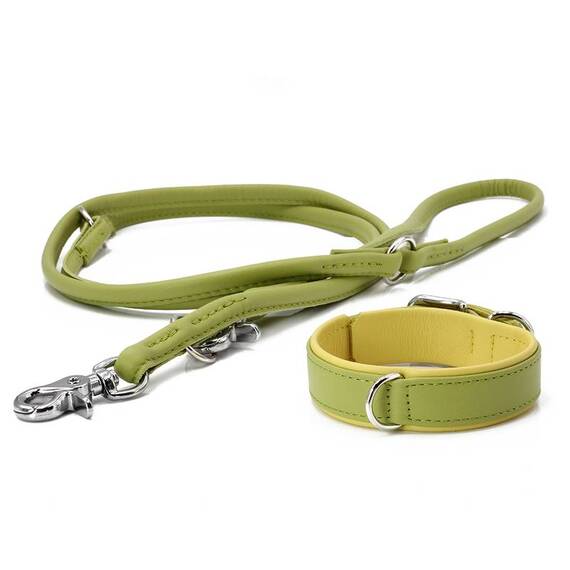 Leder Hundeleine rundgenäht AMICI Lemon • 2m • dreifach verstellbar