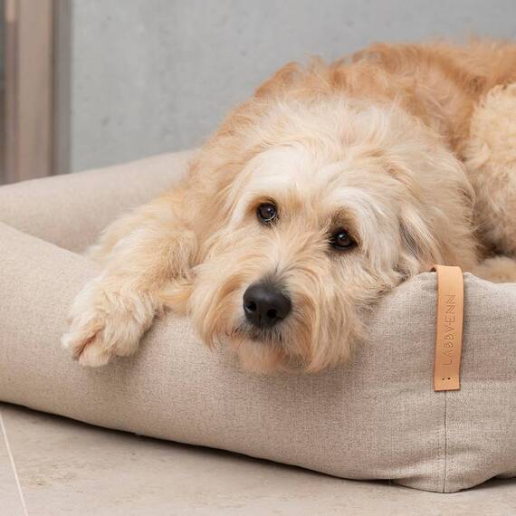 Hundebett petrol • Labbvenn® MOE