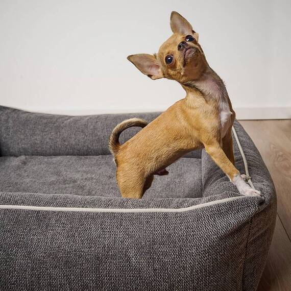 Orthopädisches Hundebett ECO DUNKELGRAU • nachhaltig