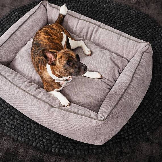 Orthopädisches Hundebett ECO HELLGRAU • nachhaltig