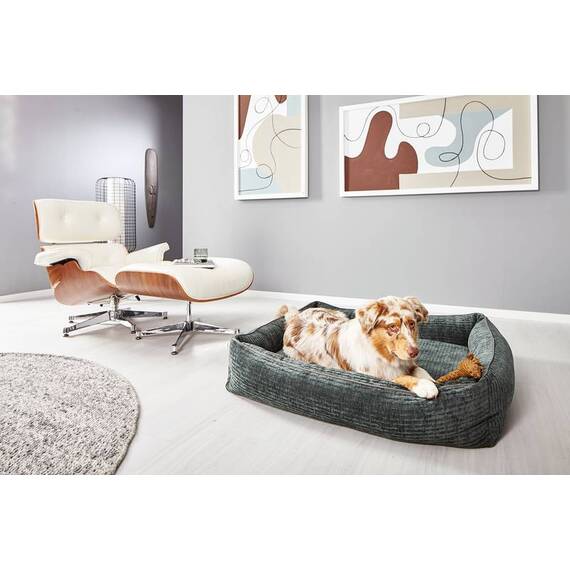 Orthopädisches Hundebett petrol NOVA • Laboni