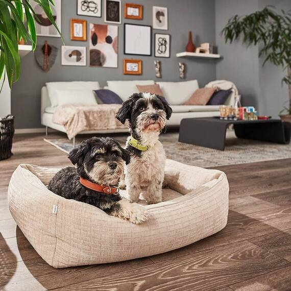 Orthopädisches Hundebett beige NOVA CREME • Laboni