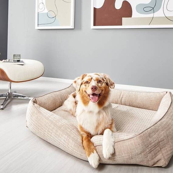 Orthopädisches Hundebett beige NOVA CREME • Laboni