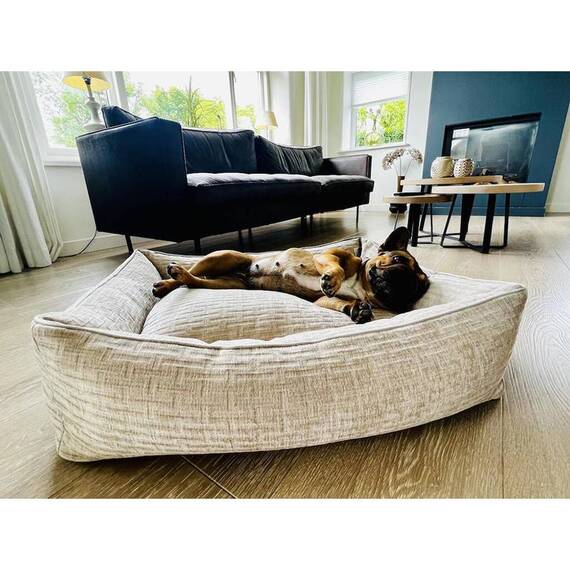 Orthopädisches Hundebett beige NOVA CREME • Laboni
