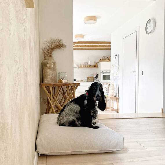 Hundekissen beige • KIIMA von Labbvenn®