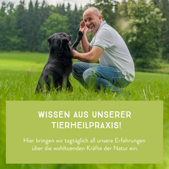 AniCanis Futterkohle aus Kräutern für Hunde & Katzen