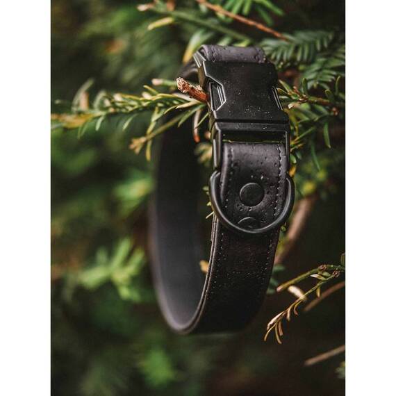 Hundehalsband aus Kork • vegan • Luís schwarz