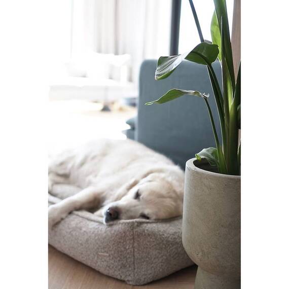 Hundebett Bouclé beige • Labbvenn BUKLAA light beige