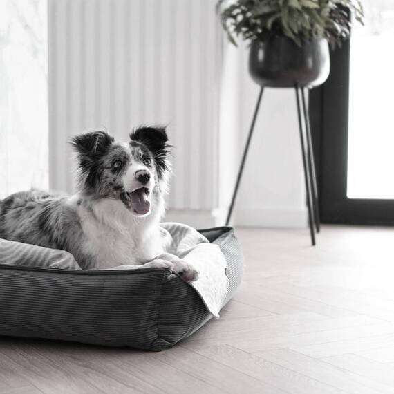 Hundebett Cord grau • Labbvenn STRIPPO dark grey