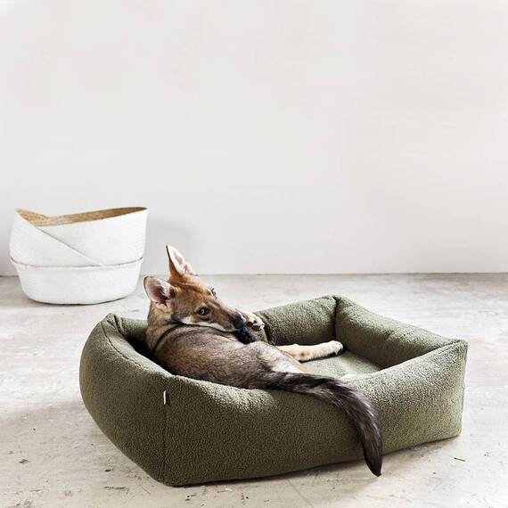 Orthopädisches Hundebett oliv TEDDY • Laboni