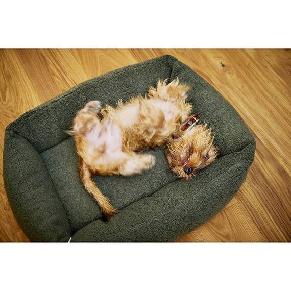 Orthopädisches Hundebett oliv TEDDY • Laboni