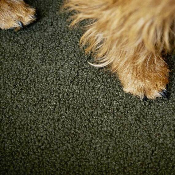 Orthopädisches Hundebett oliv TEDDY • Laboni