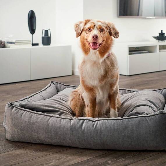 Classic Hundebett Samt SILVER • GLAM