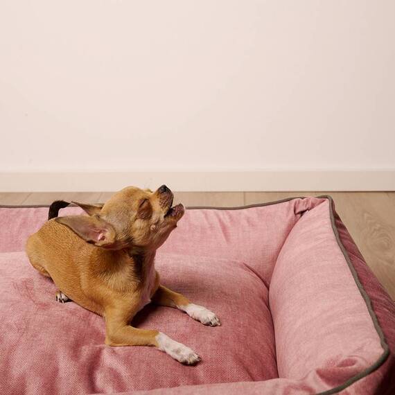 Classic Hundebett Samt ROSE • GLAM