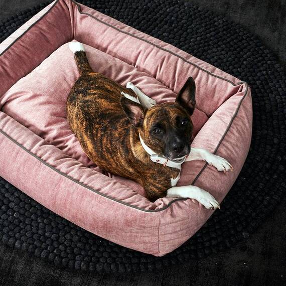 Classic Hundebett Samt ROSE • GLAM