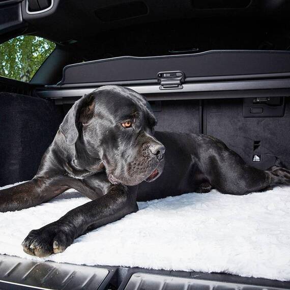 Kuschelige Hundedecke hellgrau • COZY LIGHT GREY von LABONI