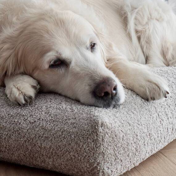 Hundekissen Bouclé dunkelgrau • Labbvenn BUKLAA anthracite
