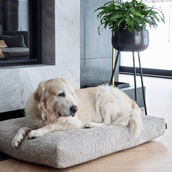 Hundekissen Bouclé beige • Labbvenn BUKLAA