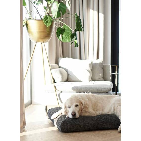 Hundekissen Bouclé beige • Labbvenn BUKLAA