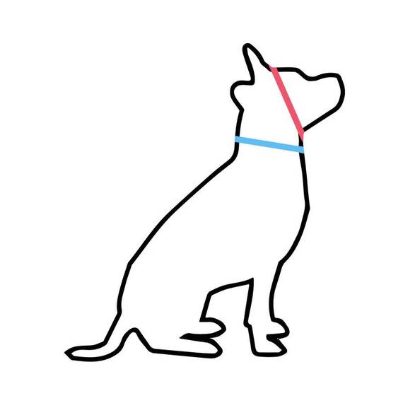 Hundehalsband aus Kork • vegan • Luís schwarz