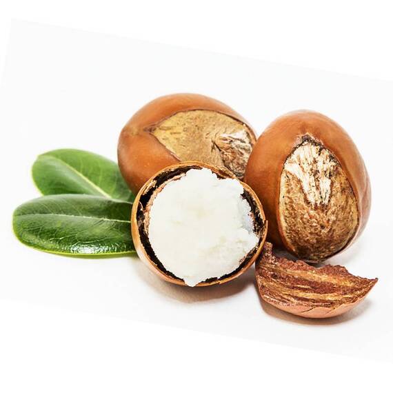 Natürliches Pfotenbalsam für den Hund mit Kokosöl • COCO