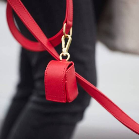 Gassi Set CHILI mit Leder-Hundeleine und Halsband • William Walker