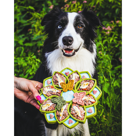 Anti-Schling-Napf für den Hund • SodaPup® Mandala grün