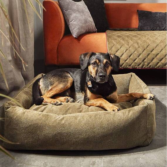 Orthopädisches Hundebett TUDOR von Laboni • oliv
